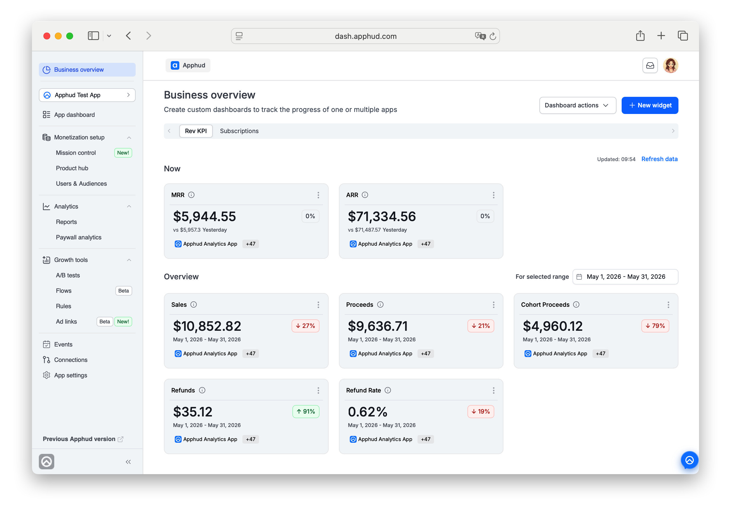 Business Overview at Apphud